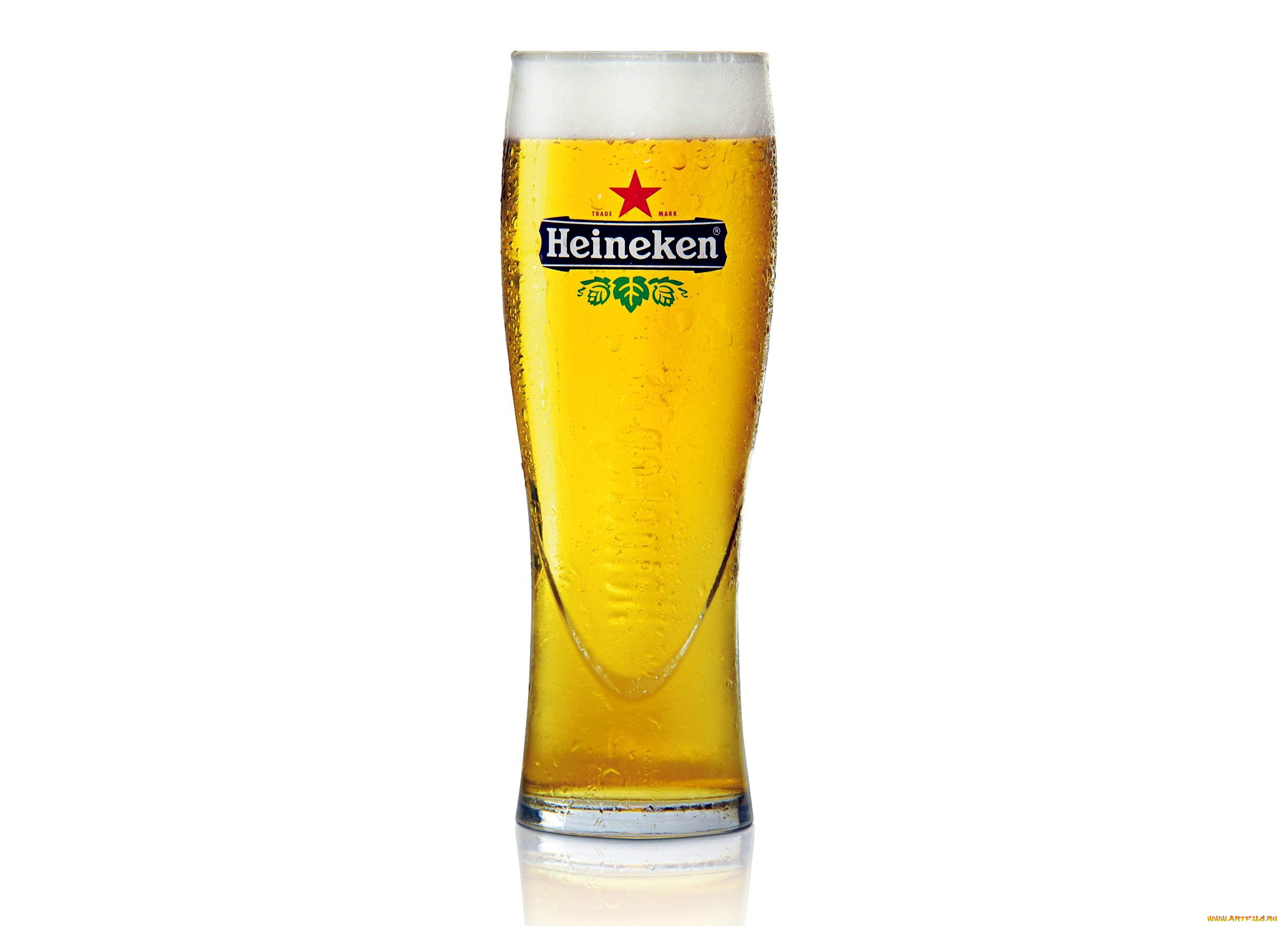 , heineken, 